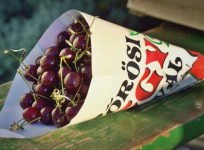 Nagykőrös - Tiszakécske a möggy ünnepén: Buszos utazás