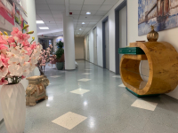 12 elvezetéses nyugalmi EKG Budapesten a VI. kerületben!