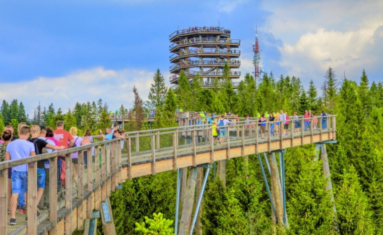 Örök élmény egy buszos utazás által: Sétálj a fák fölött és a föld alatt!-Treetop Walk,Bélai-Barlang