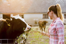 3 nap / 2 éjszaka 2 fő részére, reggelivel a csodálatos Zalakaroson korlátlan wellness használattal